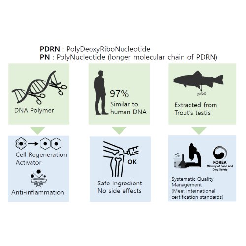 PDNR SOMON DNA CİLT YENİLEYİCİ