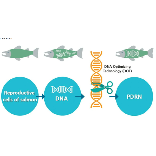 % 1.0 PDNR SOMON DNA KOKTEYL 2